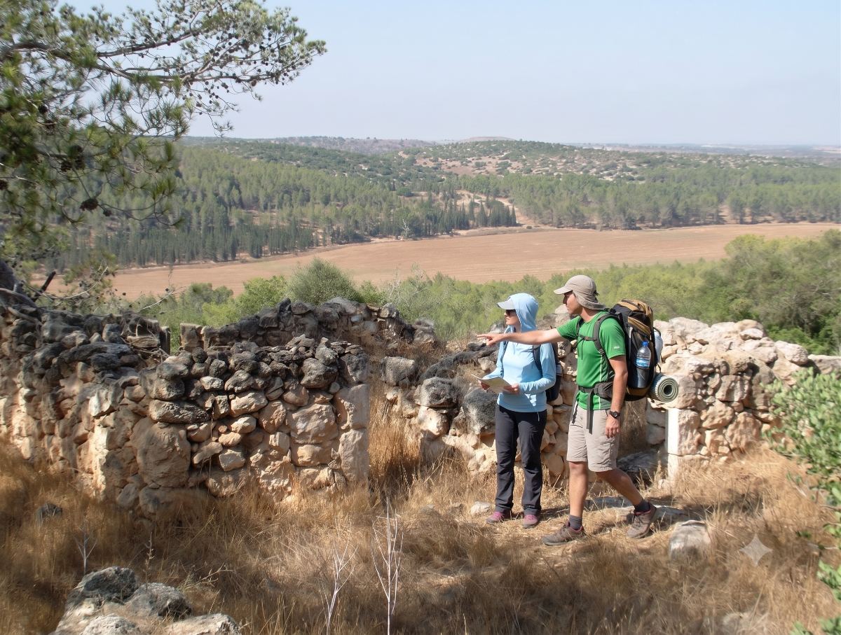 מטיילים בתצפית על נופי השפלה